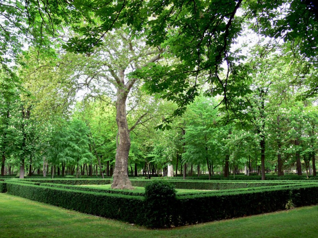 Jardines Reales de Aranjuez 