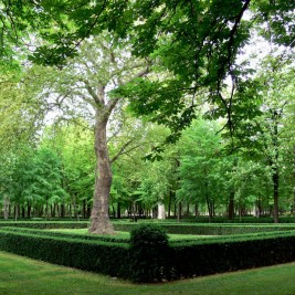 Jardines Reales de Aranjuez